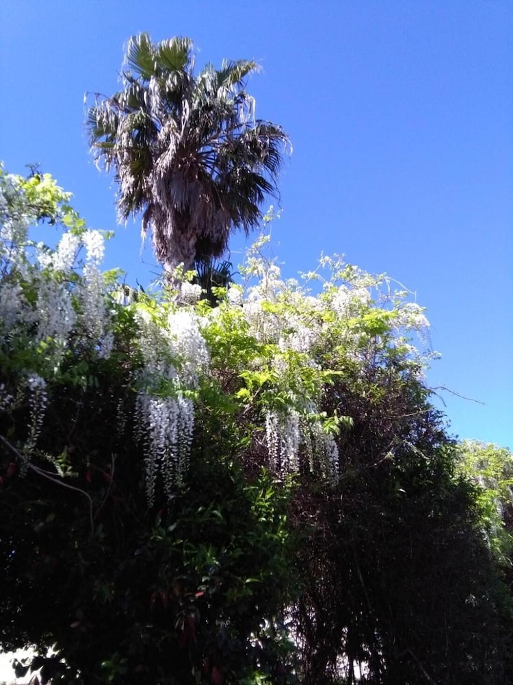 Photo 24
