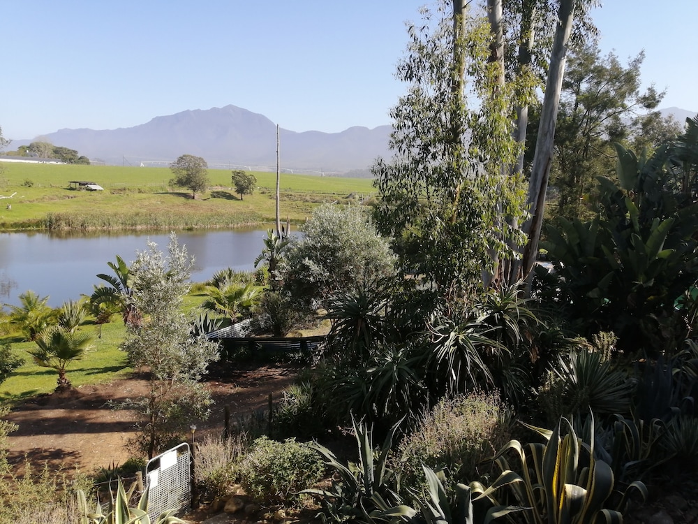 Ibis Place Guest House