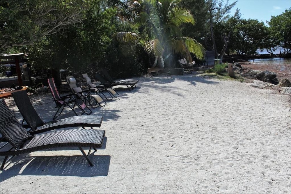 Barnacle Resort