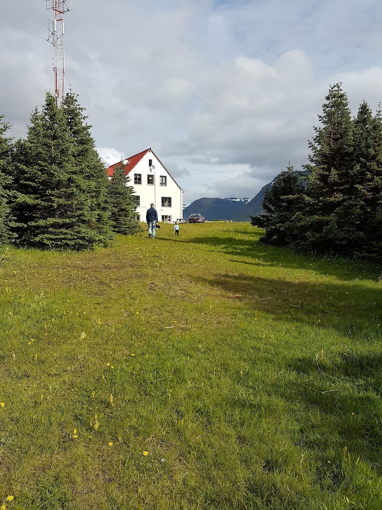 Holt Inn
