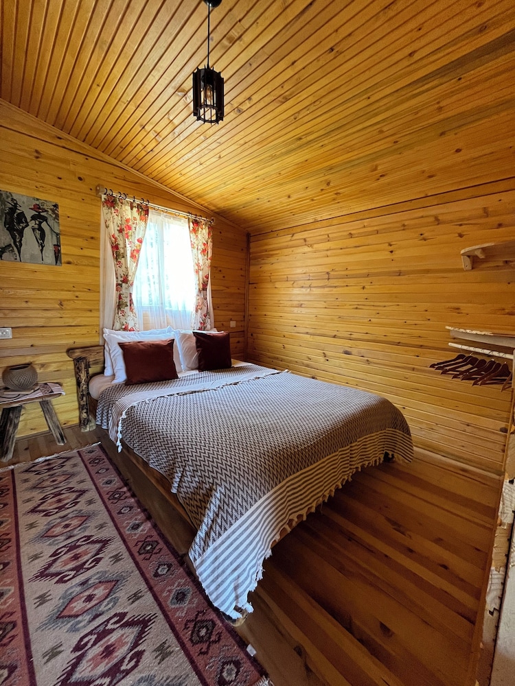 Afera Koy Evi