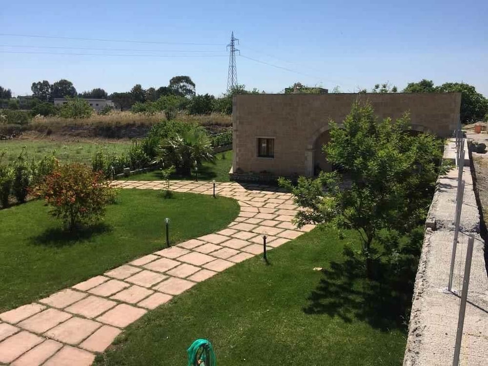 Photo 12