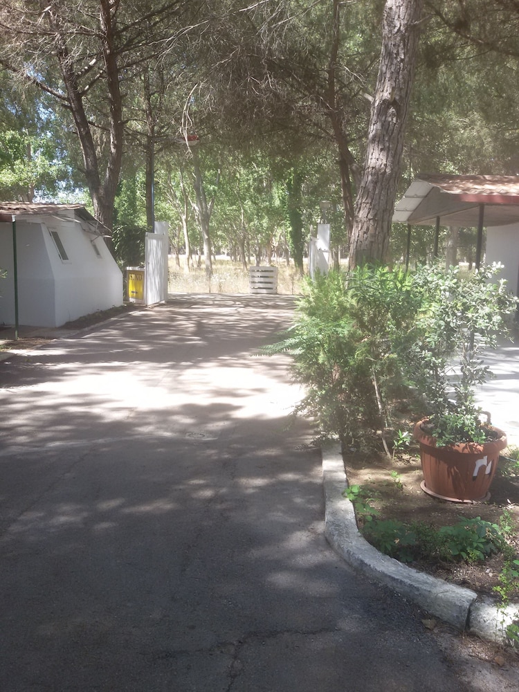 Parco delle Viole