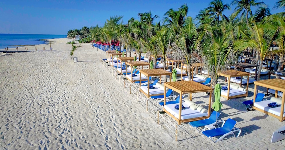 The Fives Beach Hotel - Á la Carte All Inclusive, photo 66