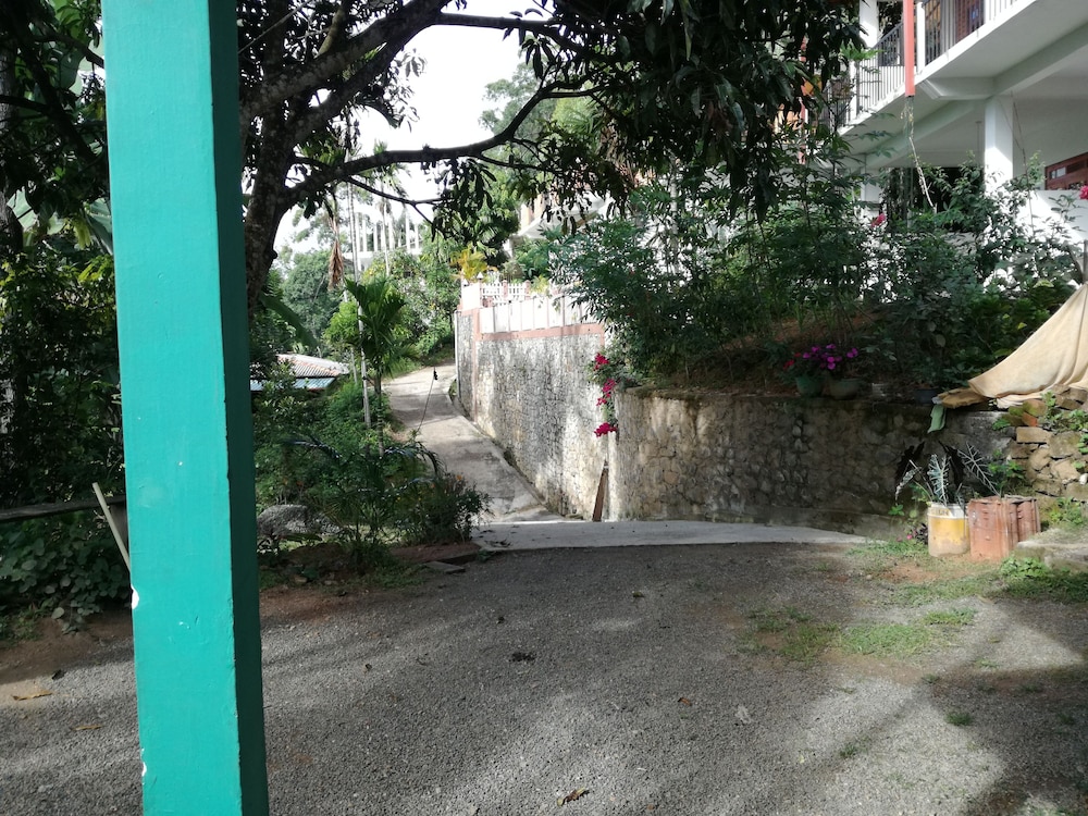 Photo 41