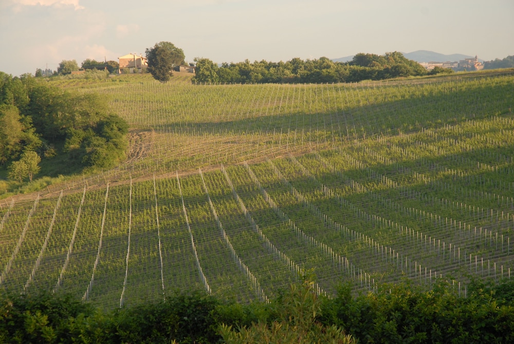 Agriturismo Colleverde