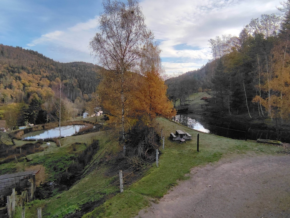 Photo 48