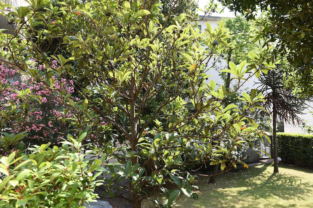 Photo 32