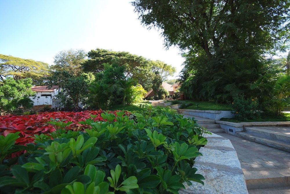 Photo 48
