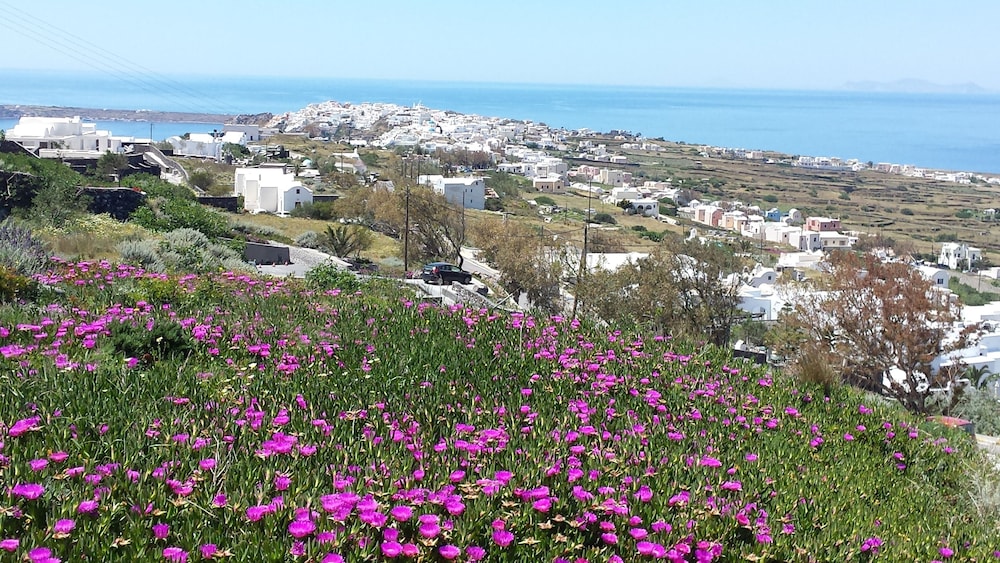 Alonistra Oia Houses