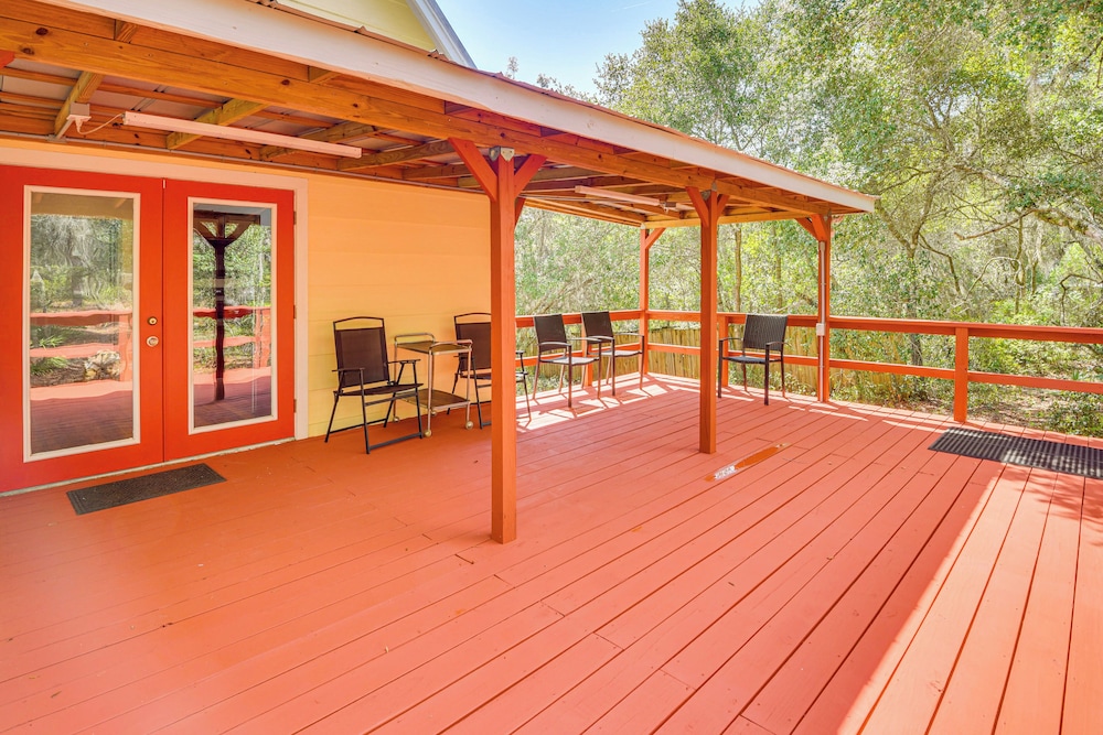 3 Mi to Ocala Nat'l Forest Trails: Nature Escape
