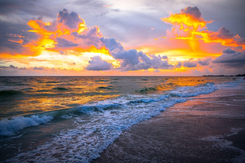 Anna Maria Island Beach Palms 7A