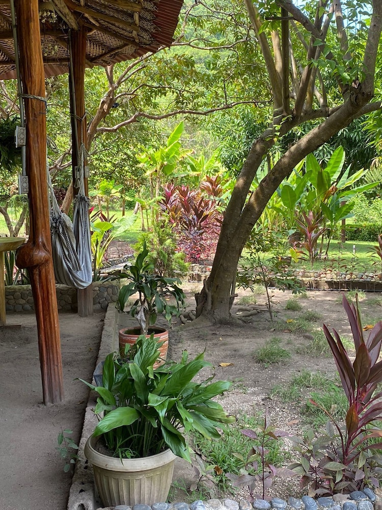 Magic Greeen Tayrona