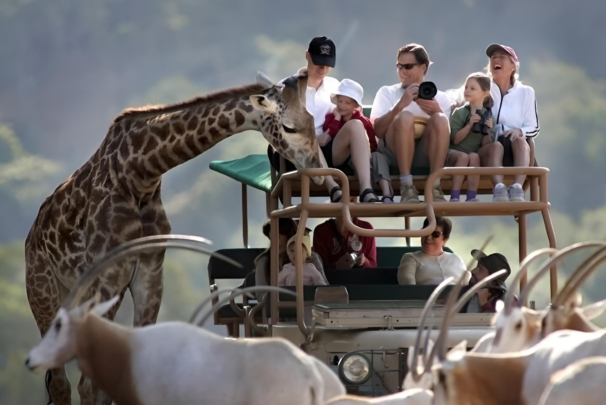 Napa Valley / Sonoma Vacations - Safari West - Property Image 3