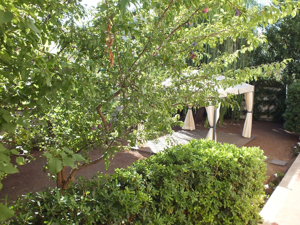 Photo 33