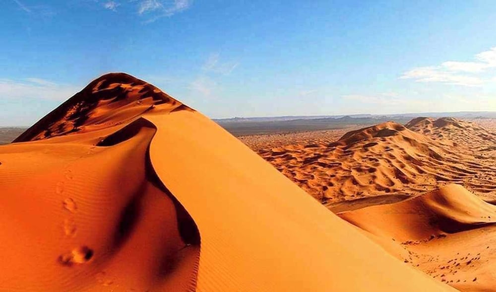 ROYAL DESERT BIVOUAC