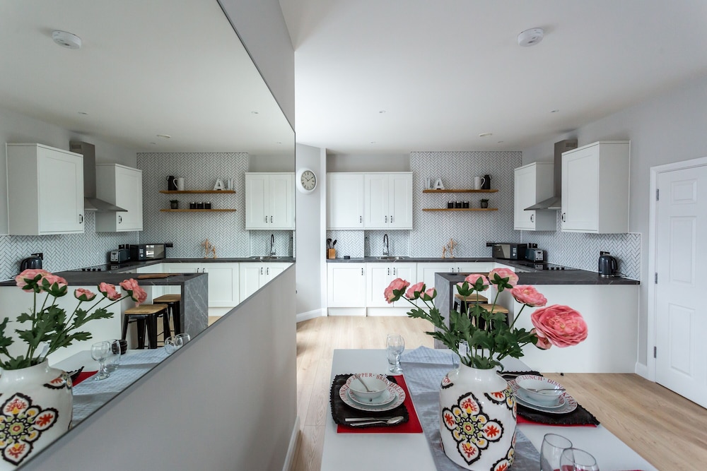 Californication, fotografía 2