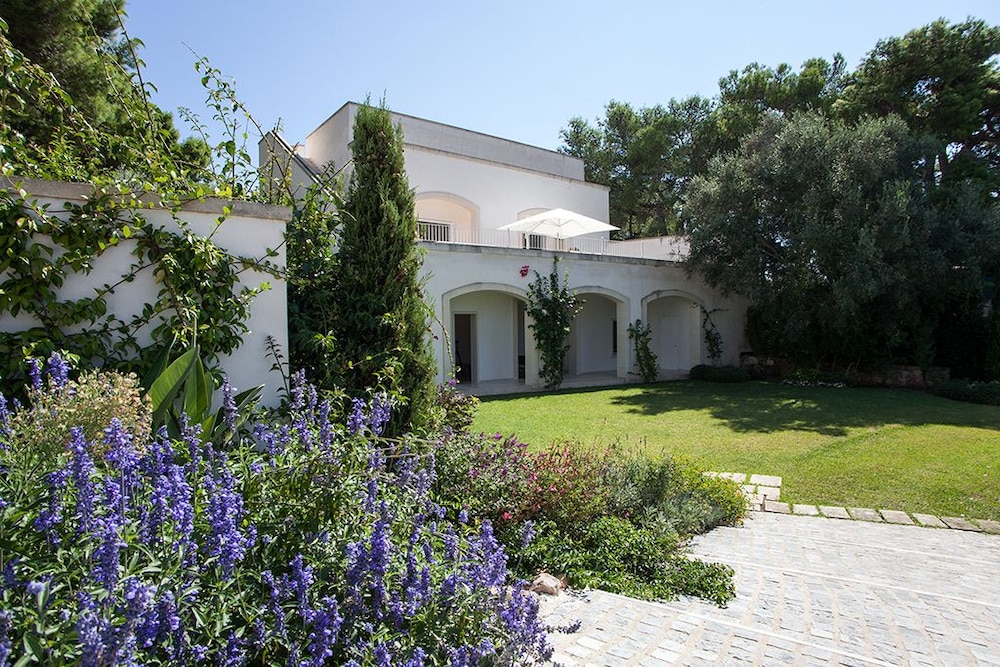 Photo 8
