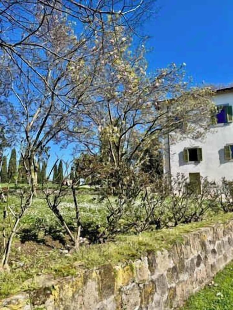 New Estate of Joy a Magnificent Historic Villa Near Rome on Glorious Ground Pool and Olives Galore