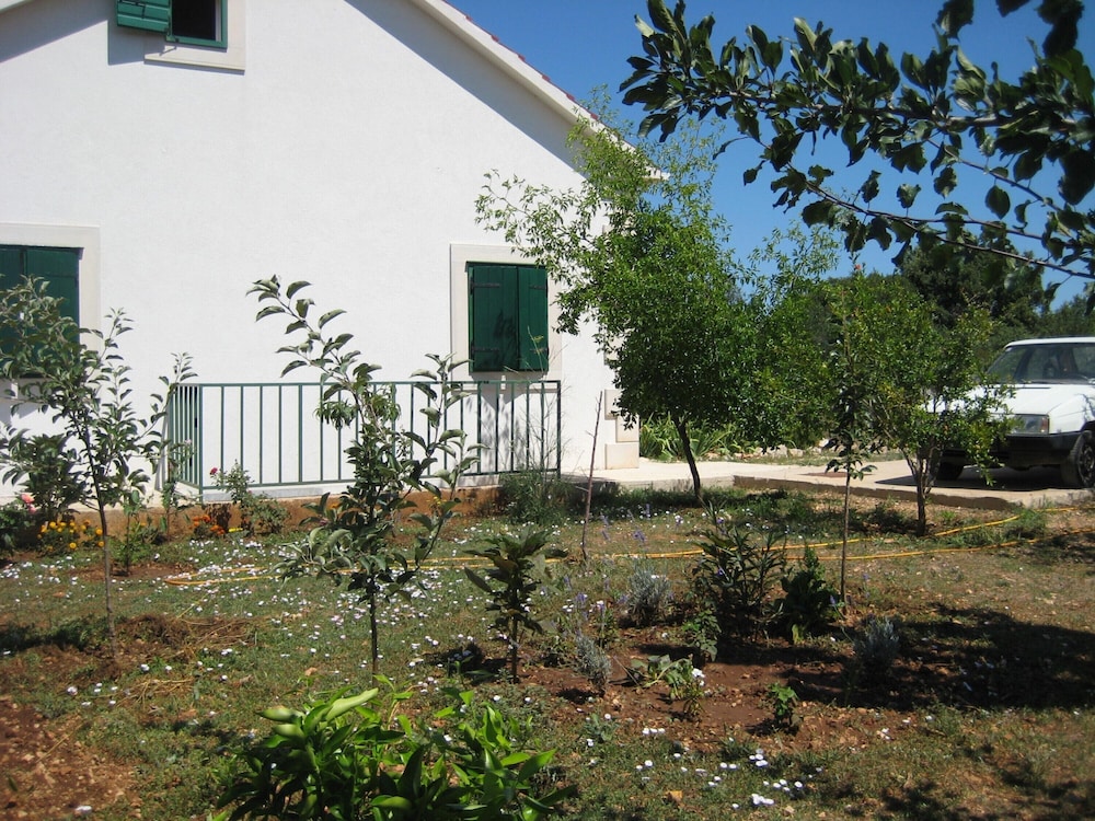 Photo 7