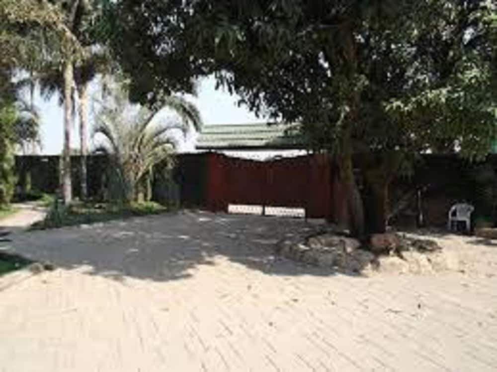 Photo 12