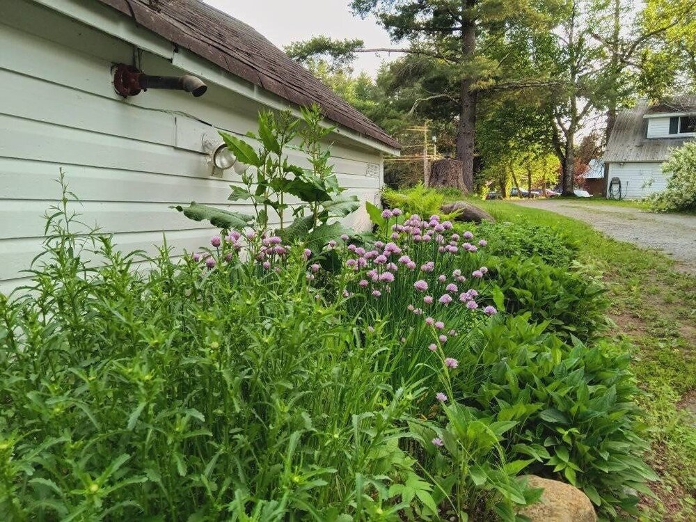 10 Mi To Gore Mountain: Home In Adirondack Park 5 Bedroom Home