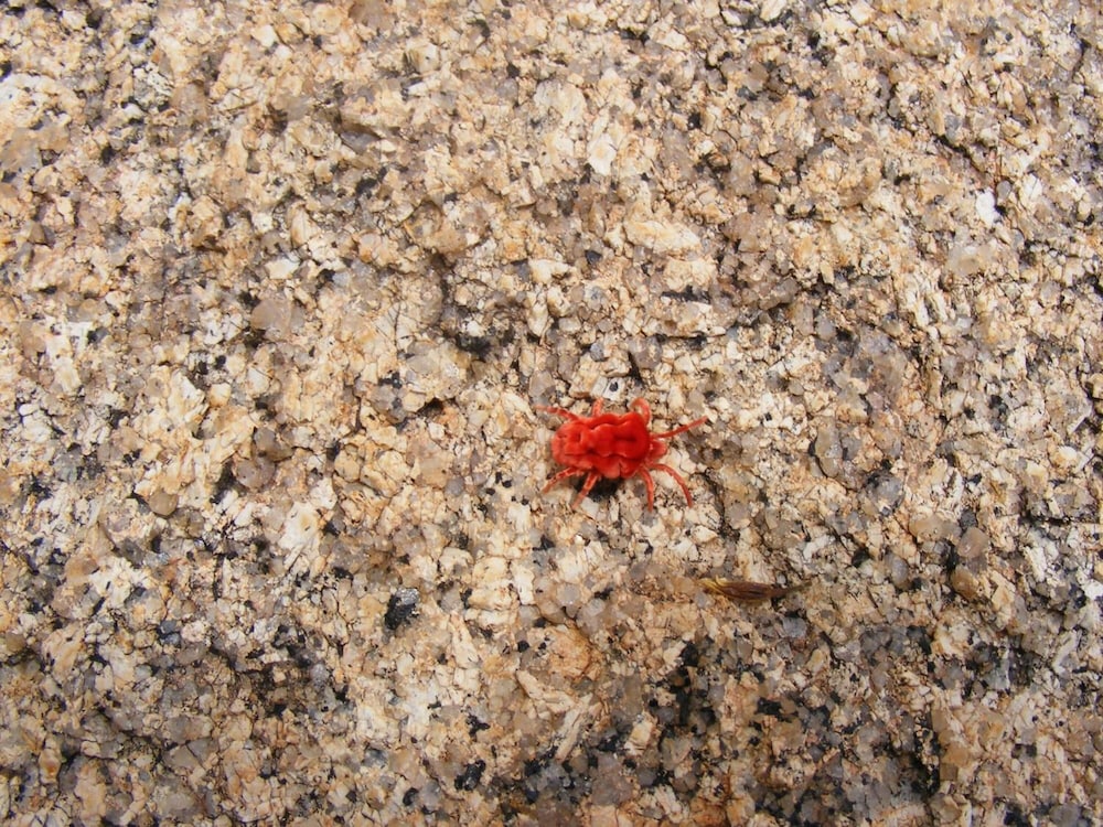 Photo 26