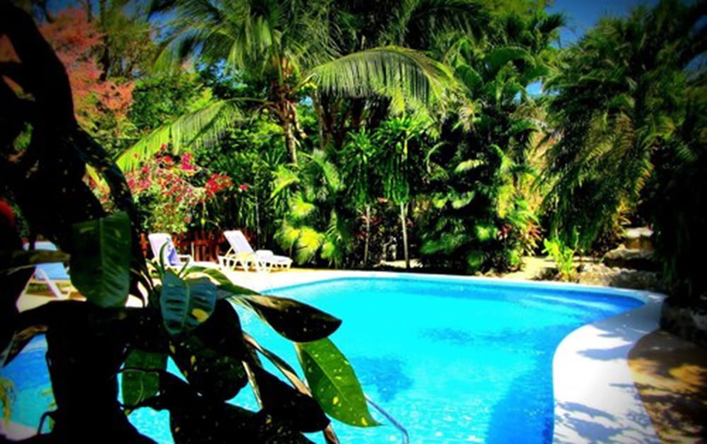 Hotel Belvedere - Property Image 1