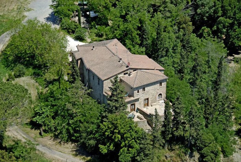 Photo 10