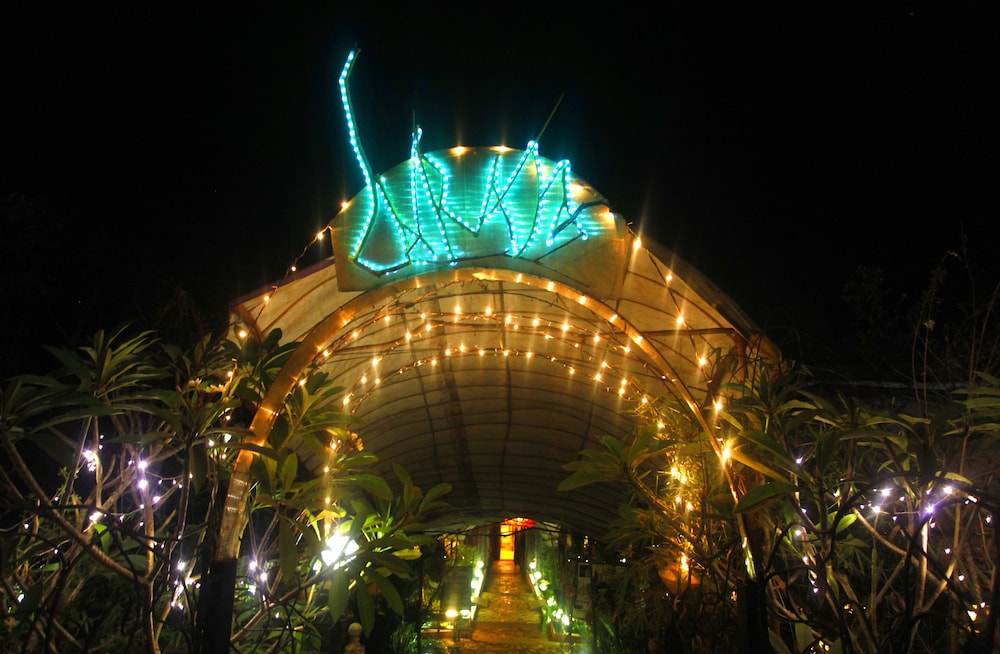Saraya Art Cafe B&B
