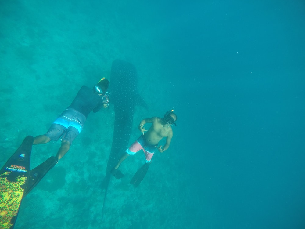 Royal Inn Rasdhoo