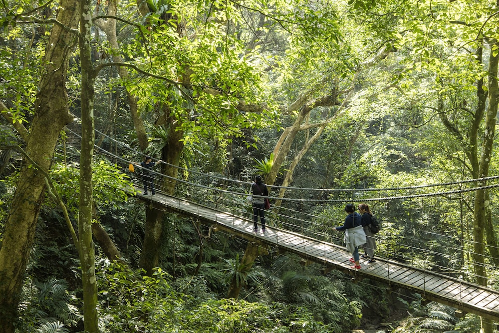 The Great Roots Forestry SPA Resort