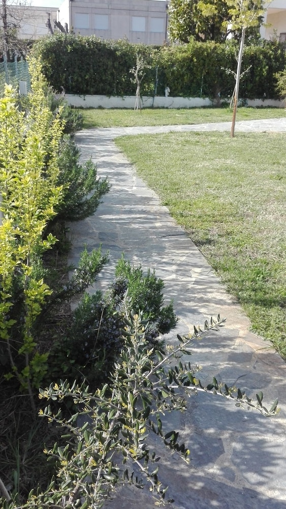 Photo 18