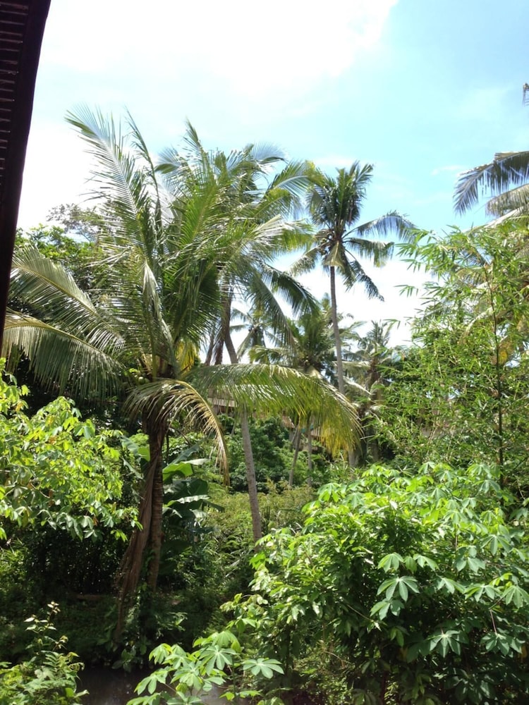 Cebluk Sari Homestay