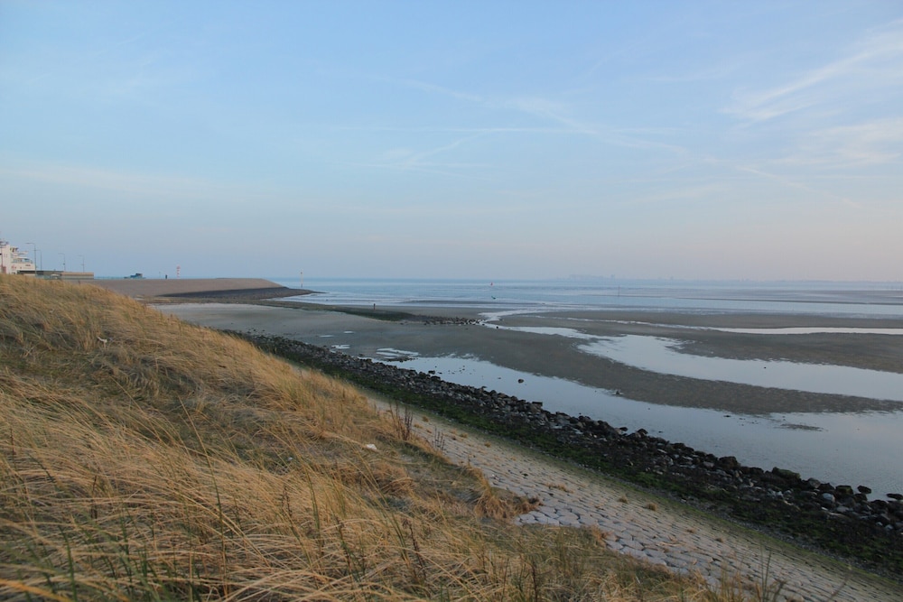Luxury Villa in Texel view 4