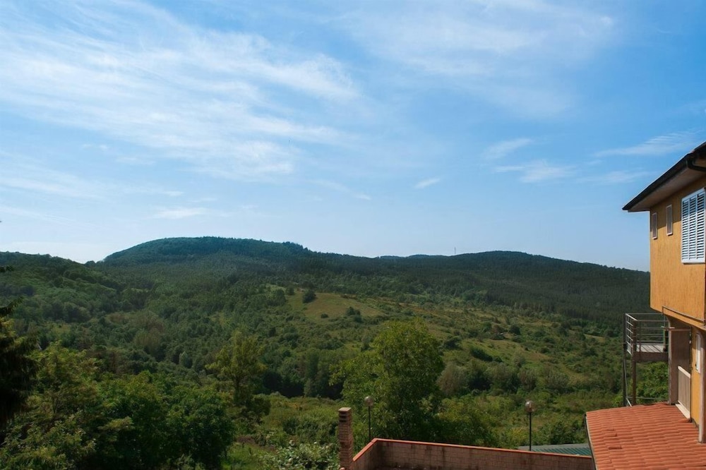 Guesthouse Bor