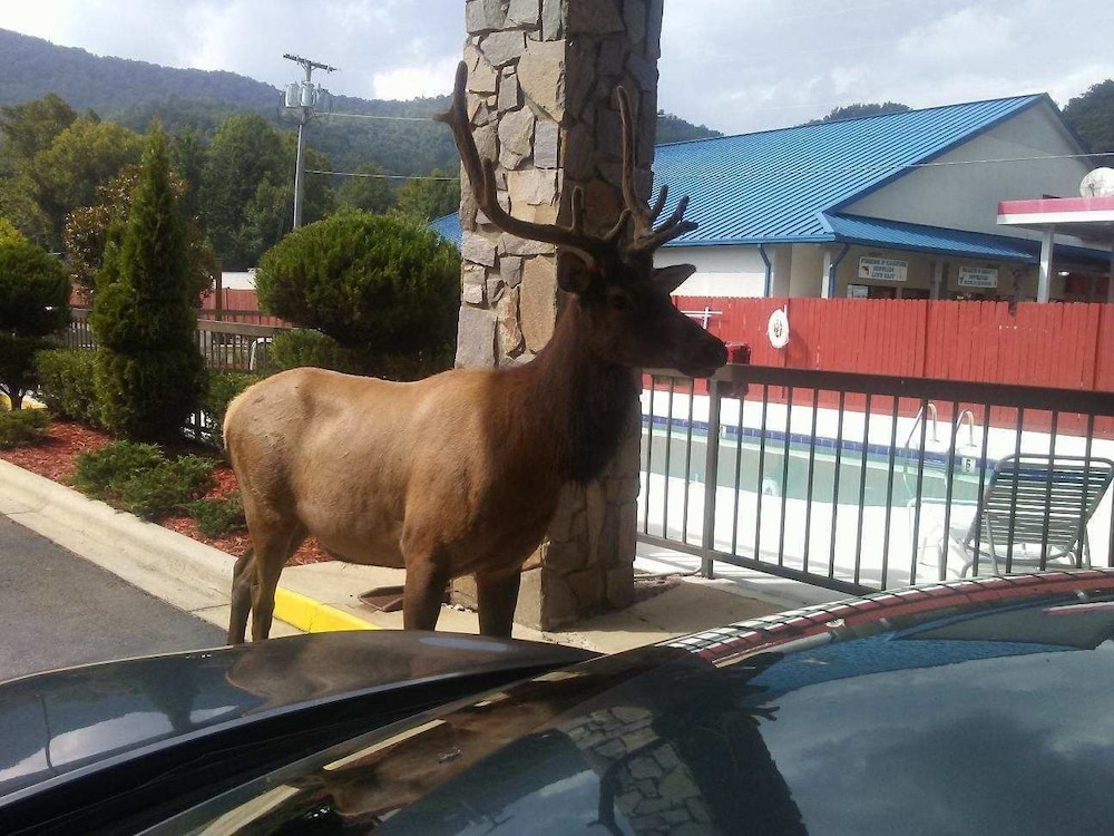 Cherokee Lodge