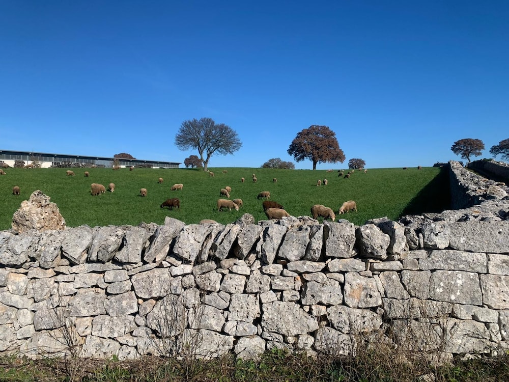 Giardino dei Trulli Tenute