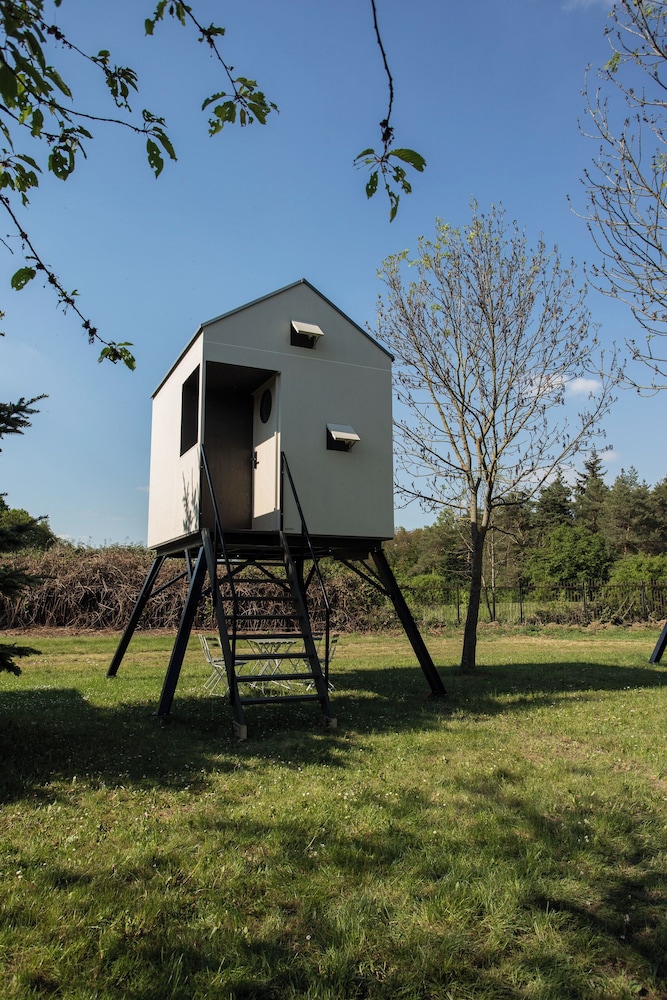 Camp Dzban