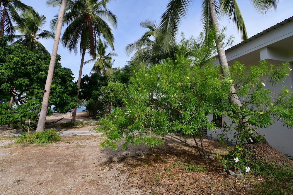 155 SalaCoco