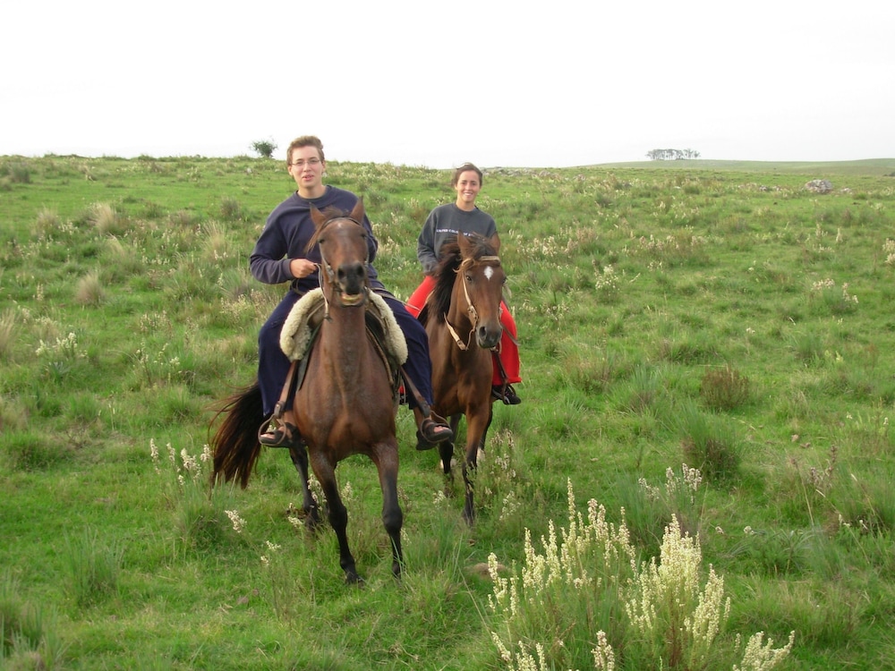 Estancia Los Platanos