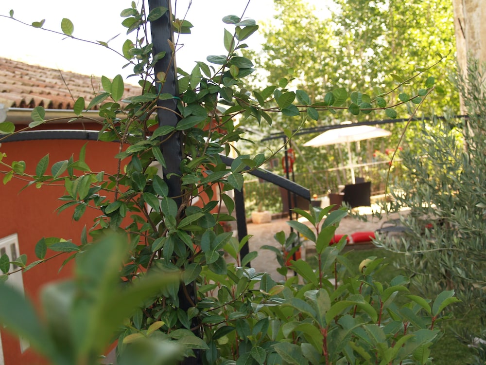 Photo 56