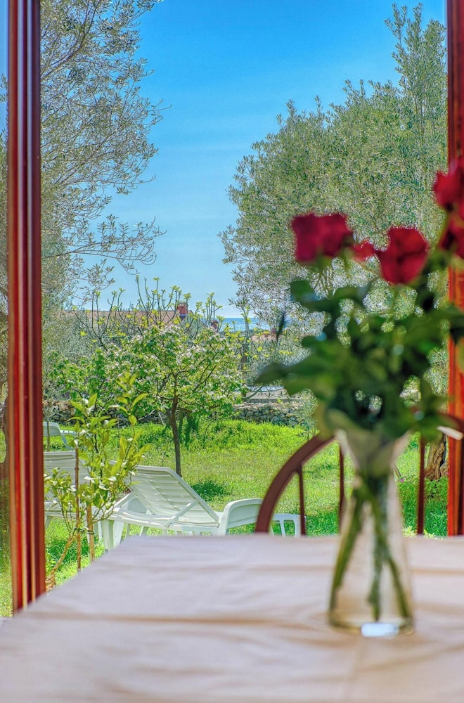 Apartments Amalia