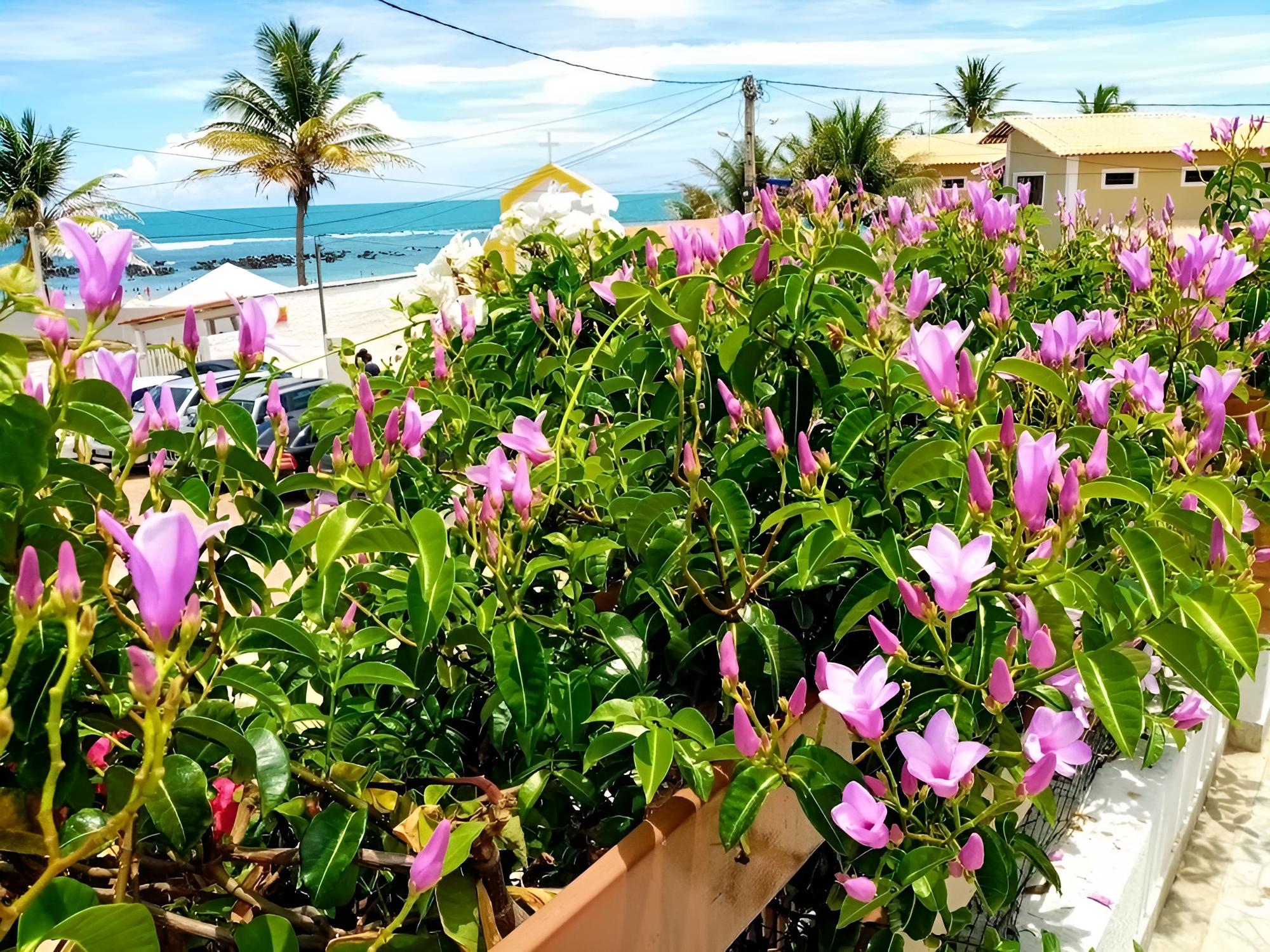 Pousada Ilha Verde