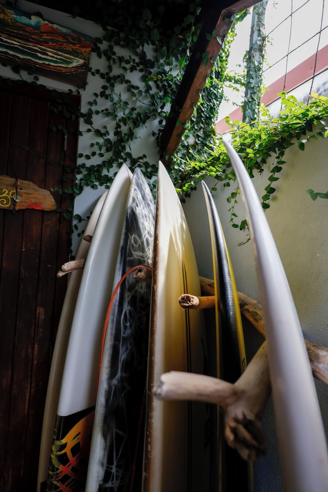 The Cafecito Surf School & Guesthouse