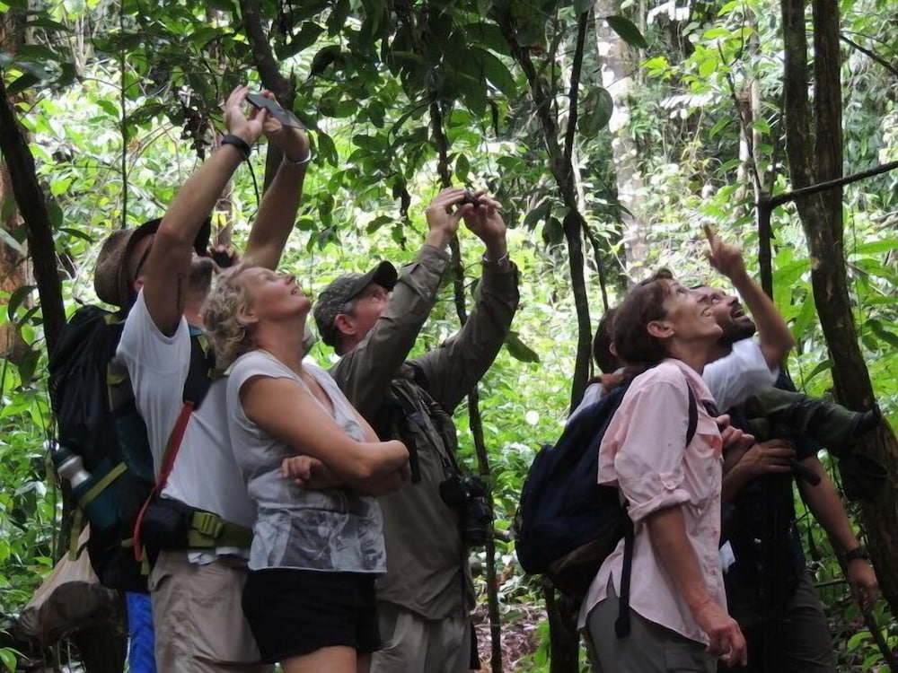 Corcovado Adventures Tent Camp