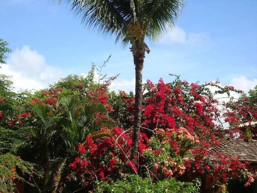Casa de Temporada Felicidade, 38 Hóspedes, 2 Piscinas, 9 Suítes e 2 Churrasqueiras em Itacaré Bahia