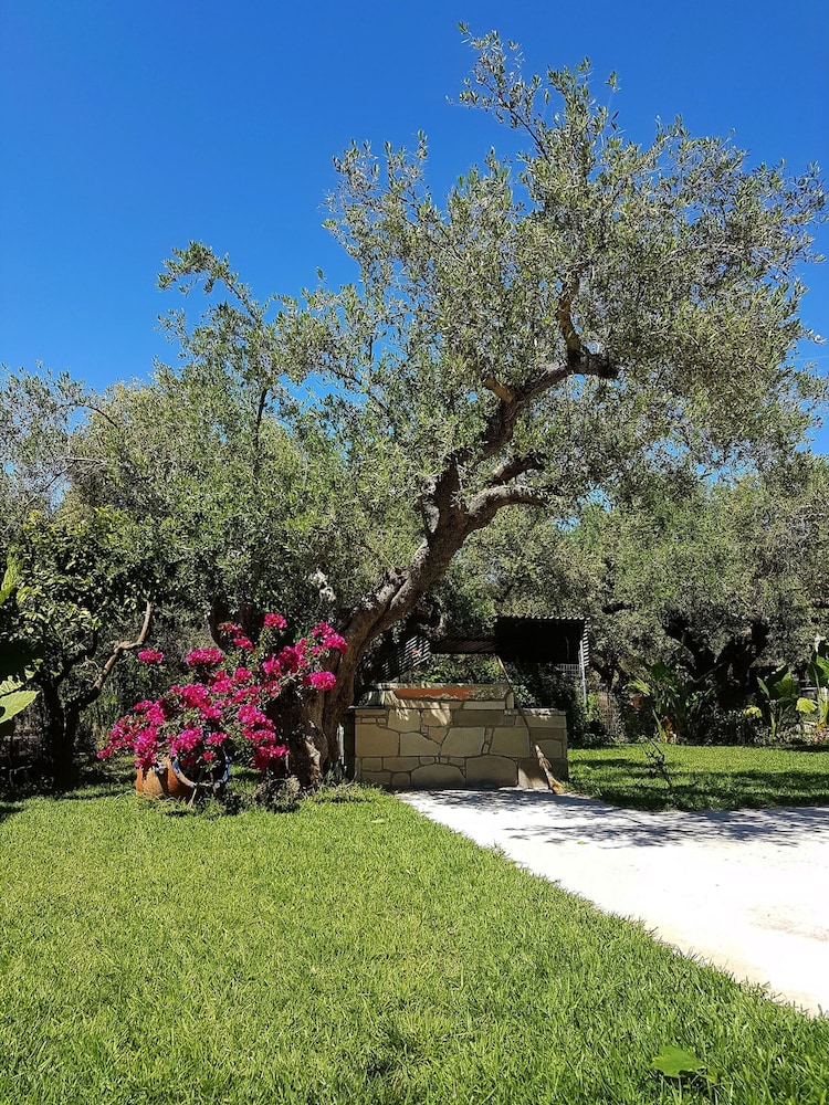 Elia Guesthouse - Kissamos