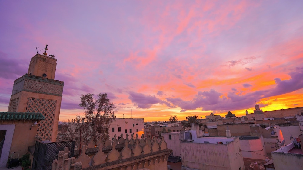 Riad Reda
