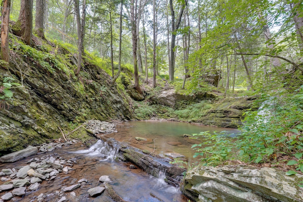 Creek Dips & Smores: Catskills Gem